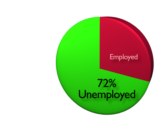 Pie Chart showing 72% unemployed